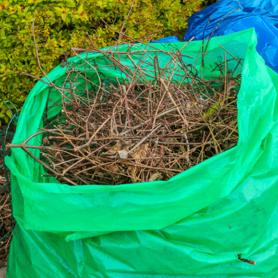 YARD CLEANUP